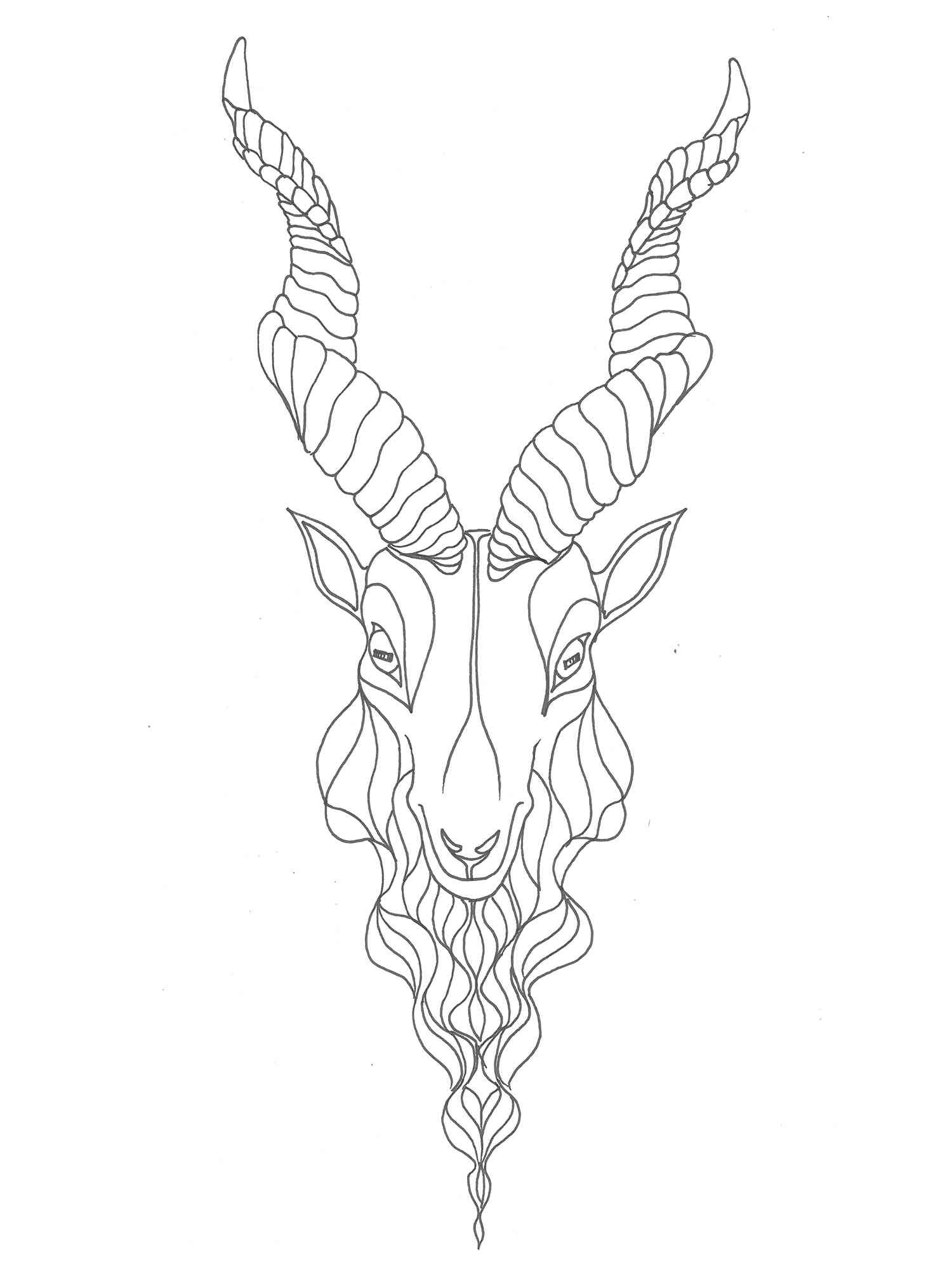 Markhor Face coloring page