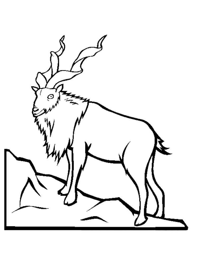 Markhor on the Mountain coloring page