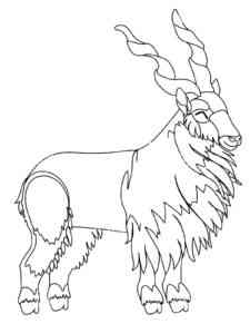 Simple Markhor coloring page