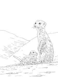 Meerkat Mother with cub coloring page