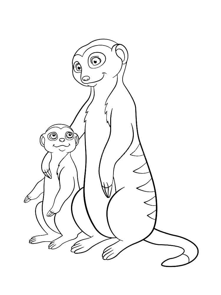Meerkat with a cub coloring page