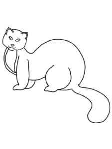Funny Mink coloring page