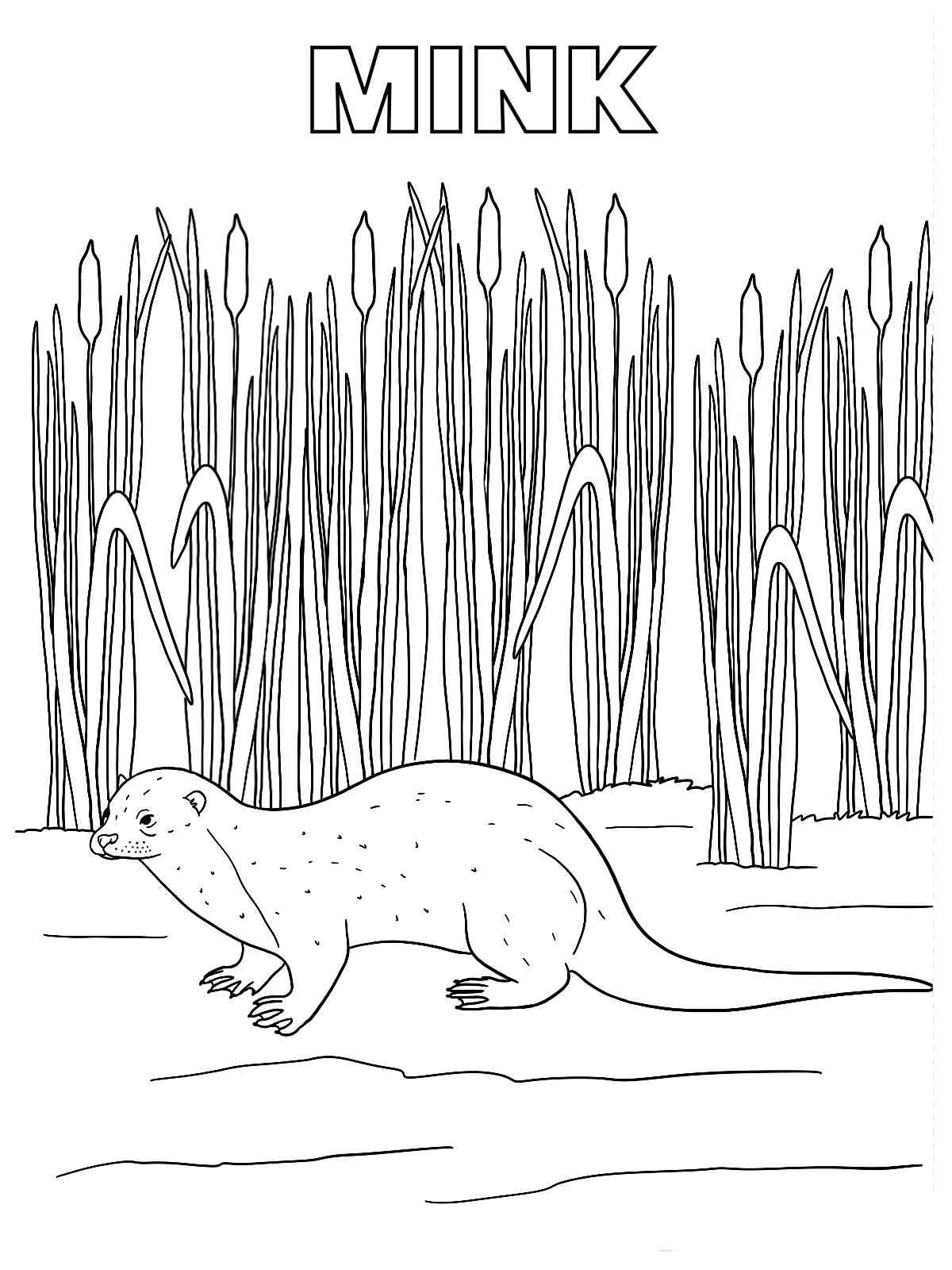 Mink in the grass coloring page