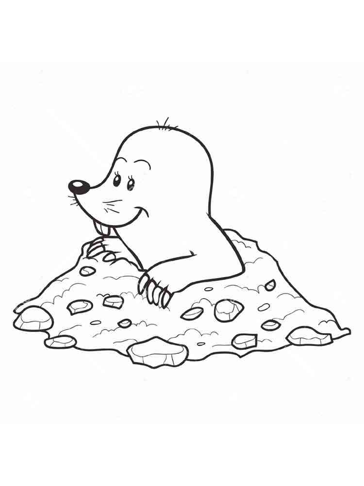 Cartoon Mole coloring page