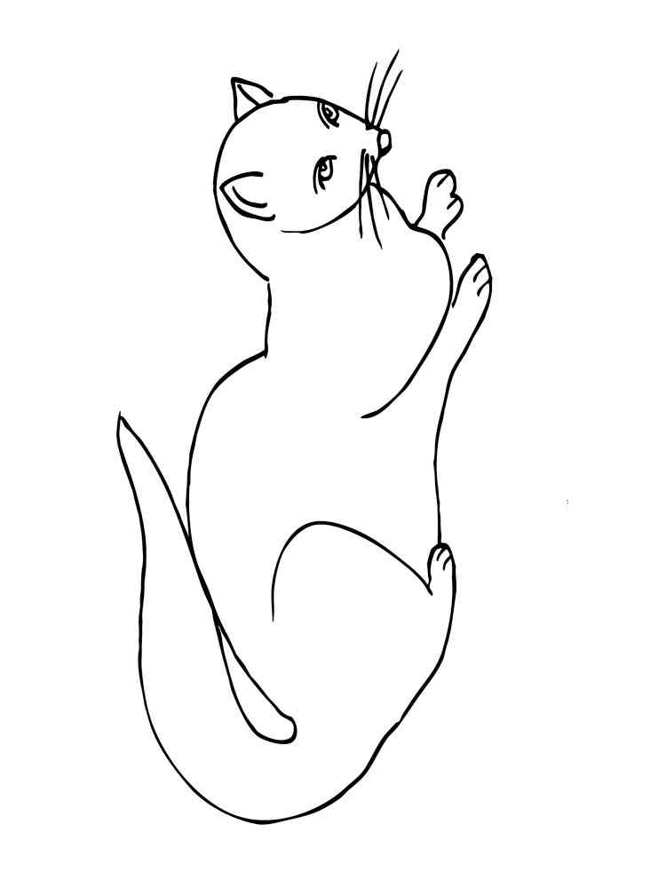 Simple Mongoose coloring page