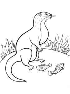 Mongoose caught a fish coloring page