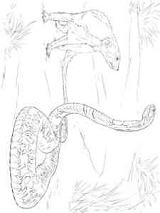 Mongoose and Snake coloring page