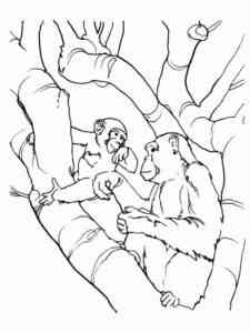 Chimpanzee Family coloring page