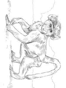 Little Baboon coloring page