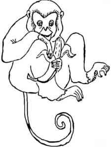 Woolly Monkey coloring page