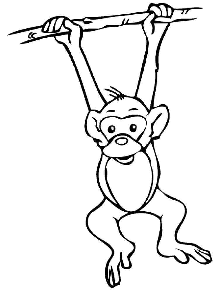 Simple Monkey coloring page