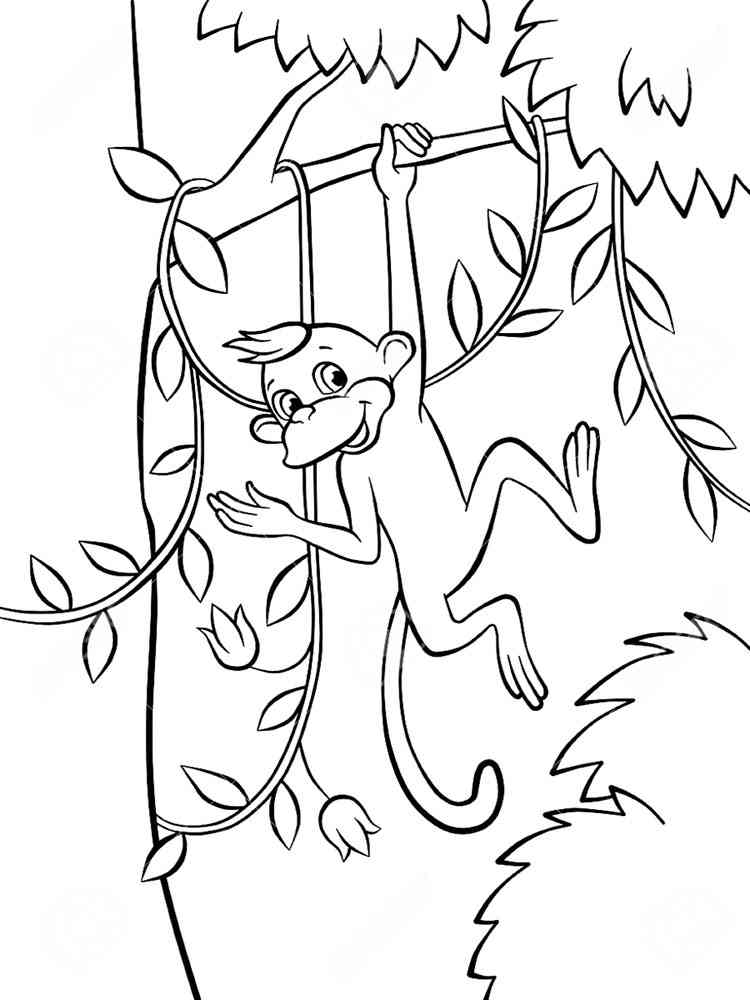 Monkey hanging from a tree coloring page
