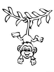 Monkey hanging on a branch coloring page