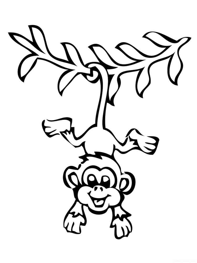 Monkey hanging on a branch coloring page