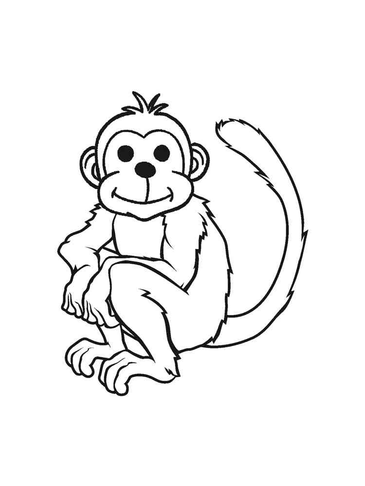Funny Cartoon Monkey coloring page