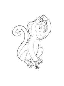 Thoughtful Monkey coloring page