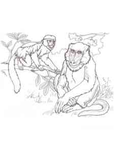 Two Baboons coloring page