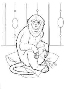 Monkey sitting coloring page