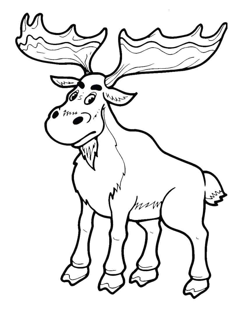 Easy Moose coloring page