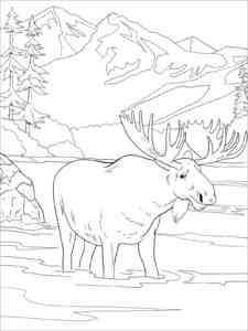 Moose in the River coloring page