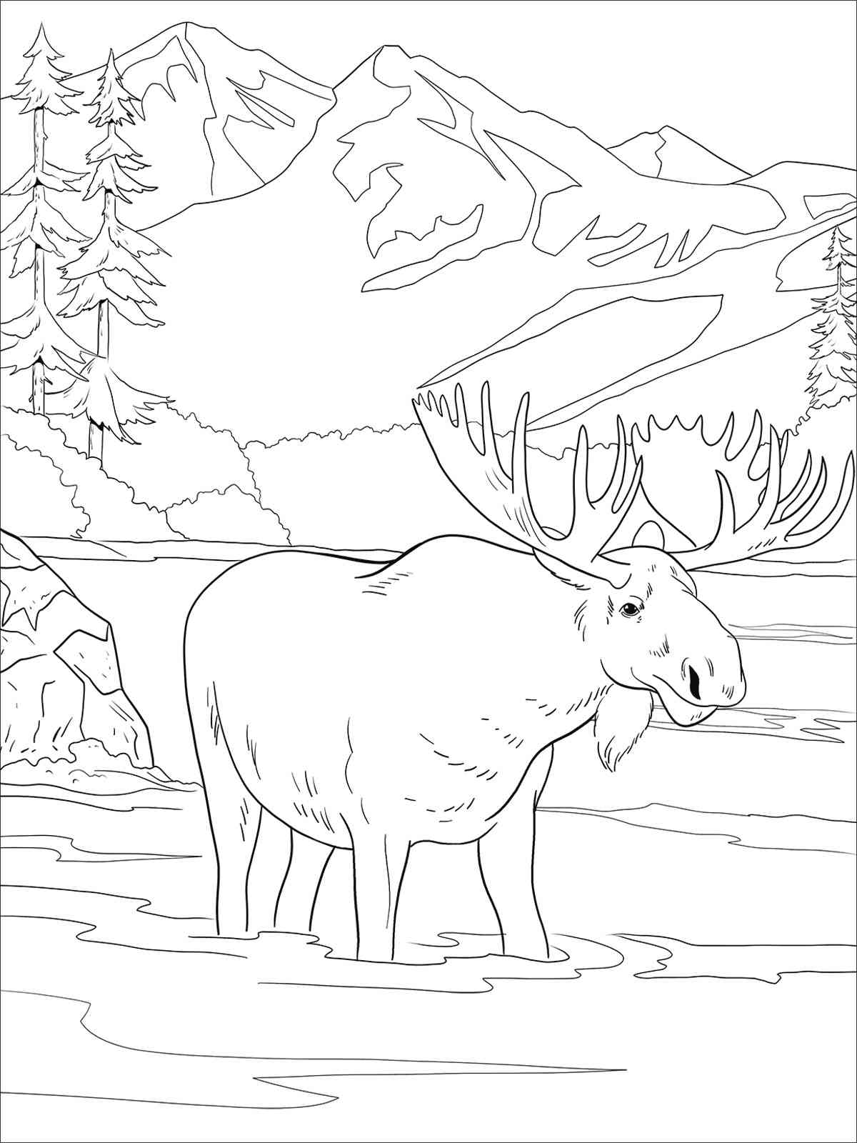 Moose in the River coloring page