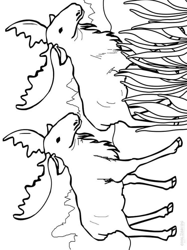 Two Mooses coloring page