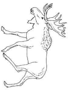 Walking Realistic Moose coloring page