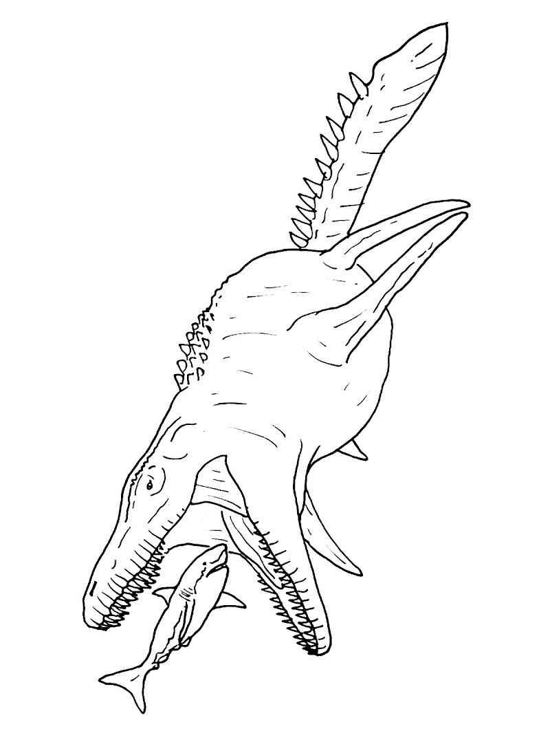 Mosasaurus hunting a shark coloring page