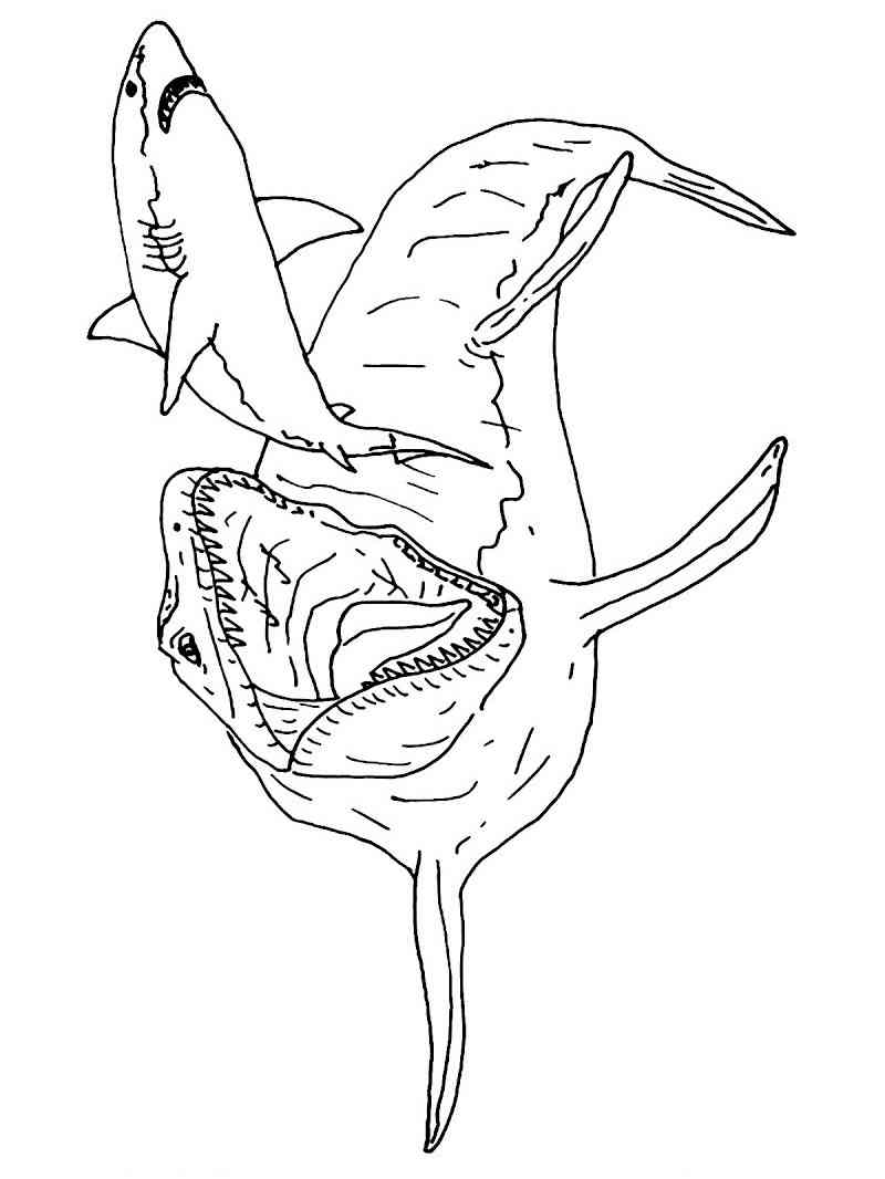 Mosasaurus and Shark coloring page