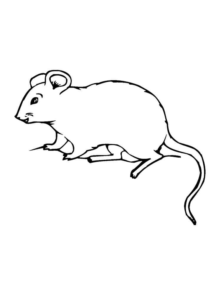 Easy Mouse 2 coloring page