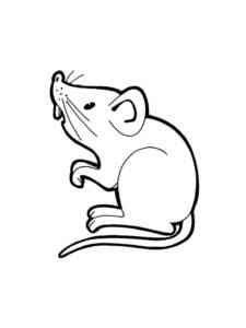 Simple Mouse 2 coloring page