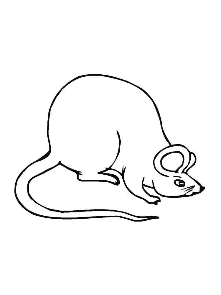 Funny Cartoon Mouse coloring page
