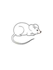 Easy Mouse coloring page