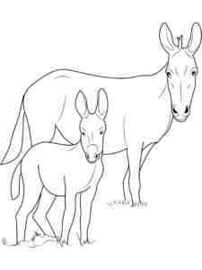 Two Mules coloring page