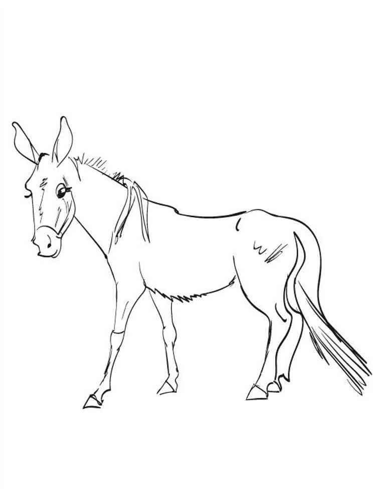 Realistic Mule coloring page