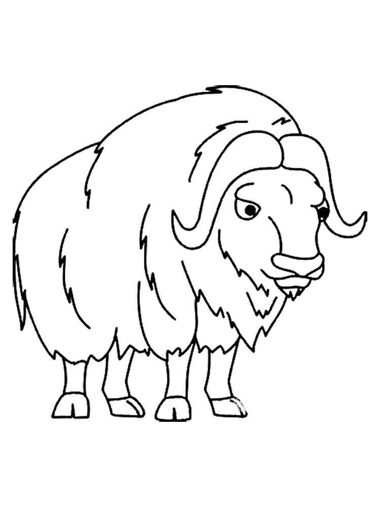 Simple Musk Ox coloring page
