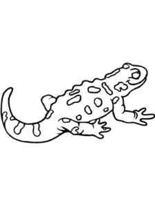 Little Newt coloring page
