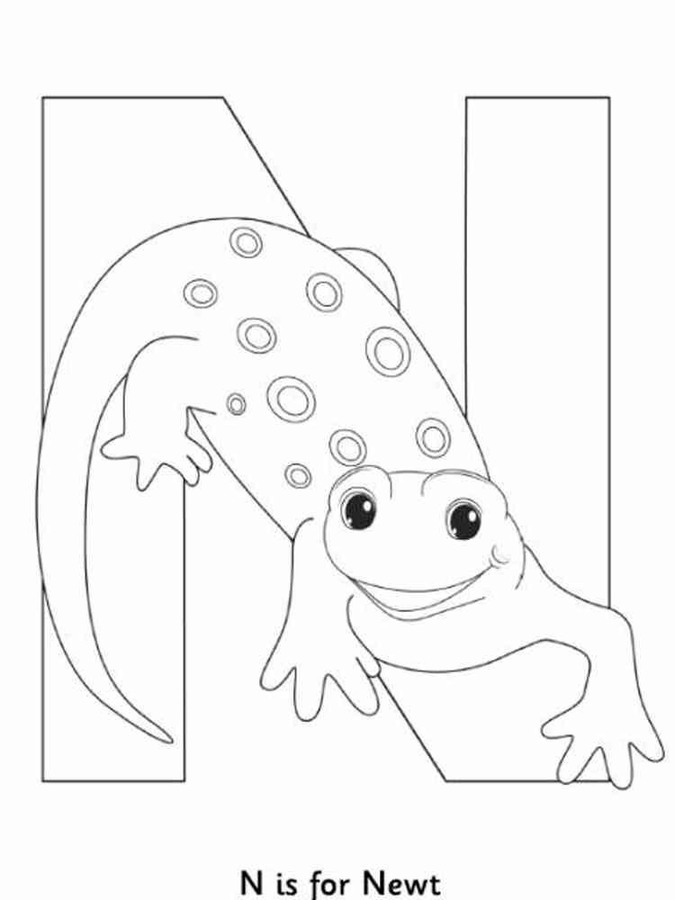 Cute Newt coloring page