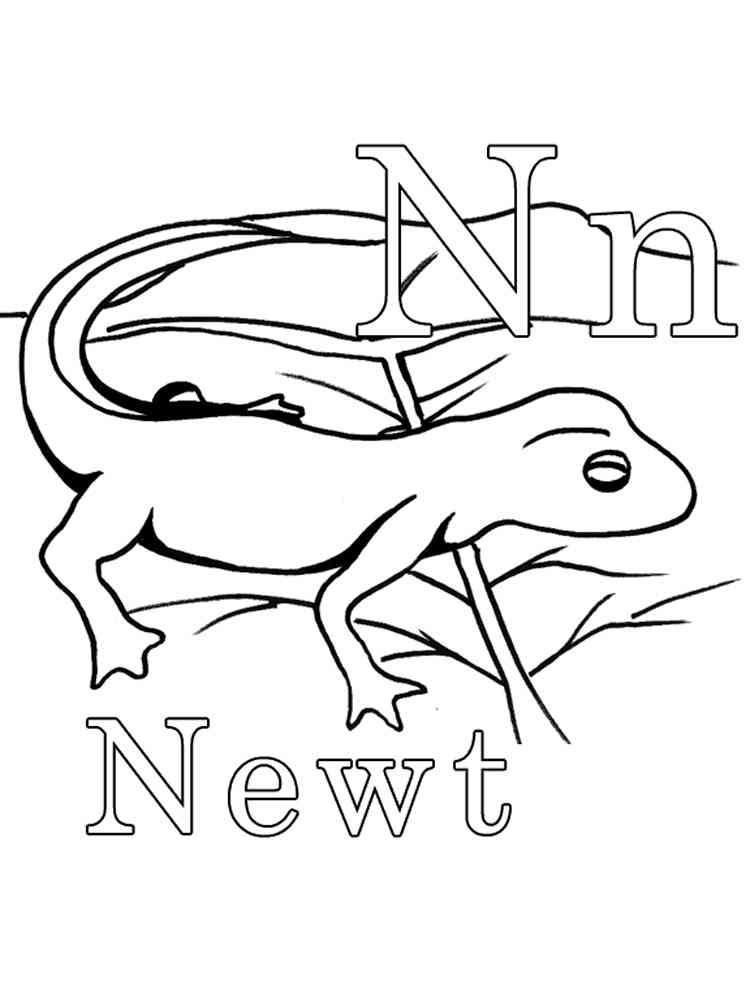 Simple Newt coloring page