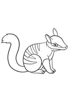 Little Numbat coloring page