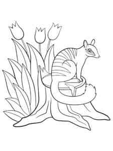 Numbat on the stump coloring page
