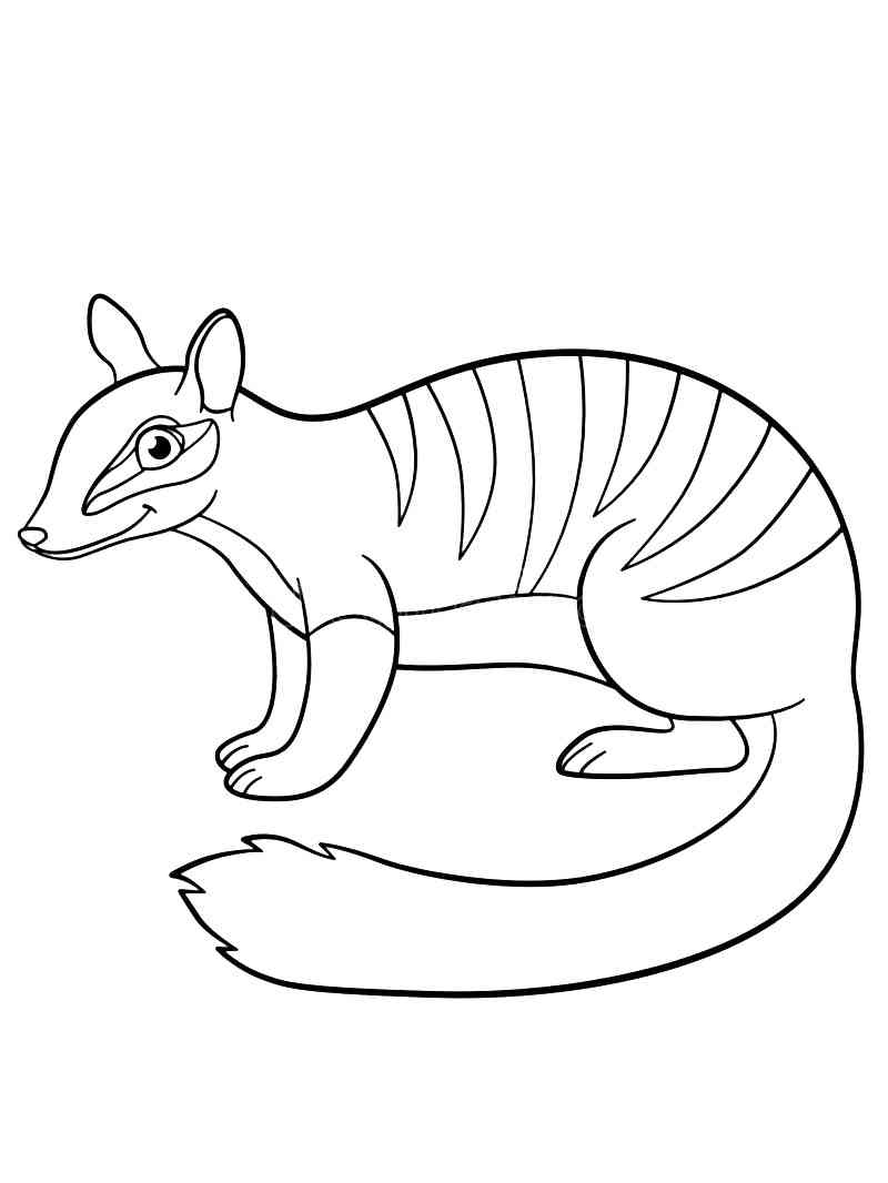 Simple Numbat coloring page