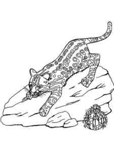 Ocelot on the Rock coloring page
