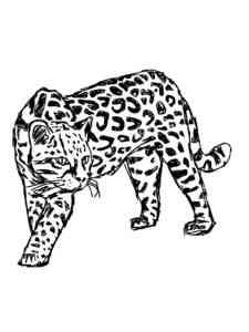 Realistic Ocelot coloring page