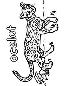 Young Ocelot coloring page