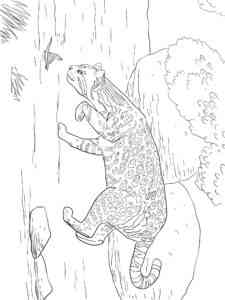 Ocelot is hunting coloring page