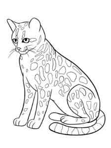 Ocelot Sitting coloring page