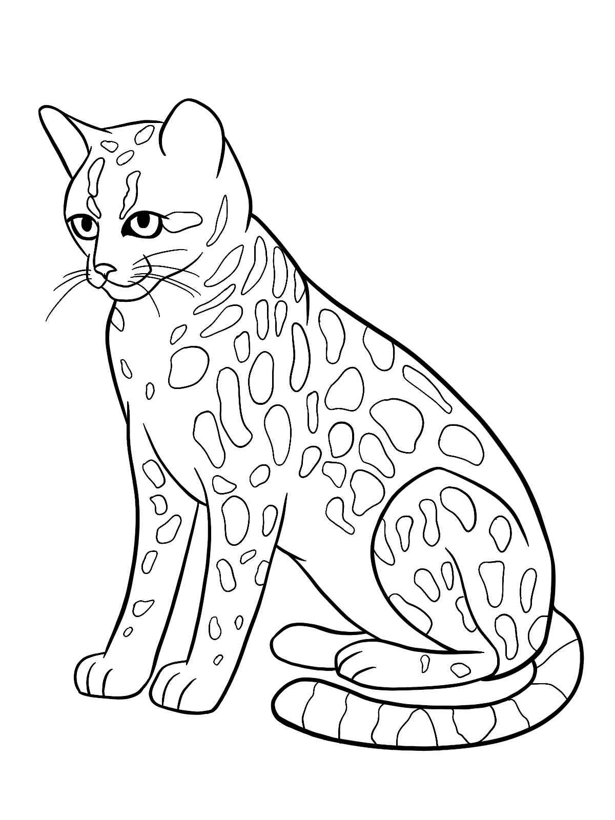Ocelot Sitting coloring page