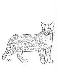 Easy Ocelot coloring page