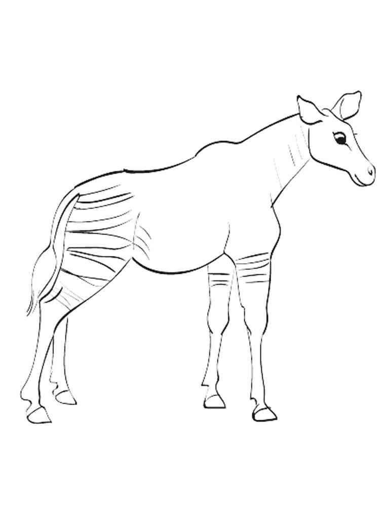Simple Okapi coloring page